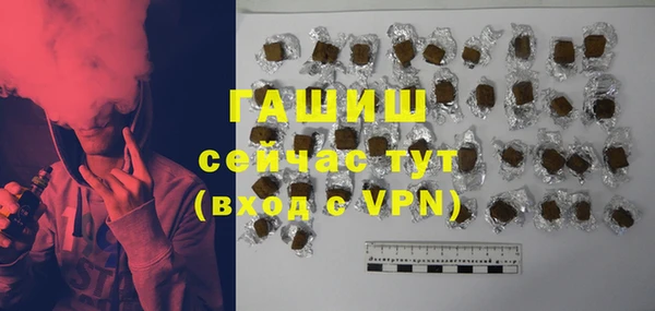 гидра Богородицк