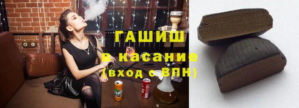 гидра Богородицк
