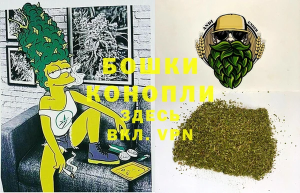 гидра Богородицк