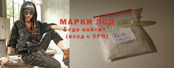 гидра Богородицк