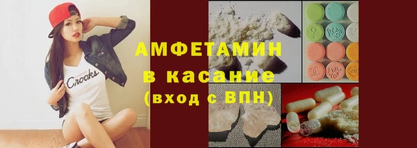 гидра Богородицк