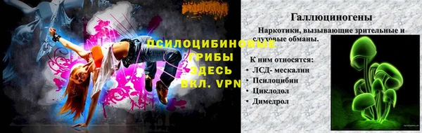 apvp Богородск
