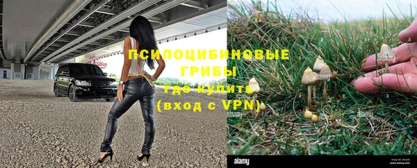 apvp Богородск